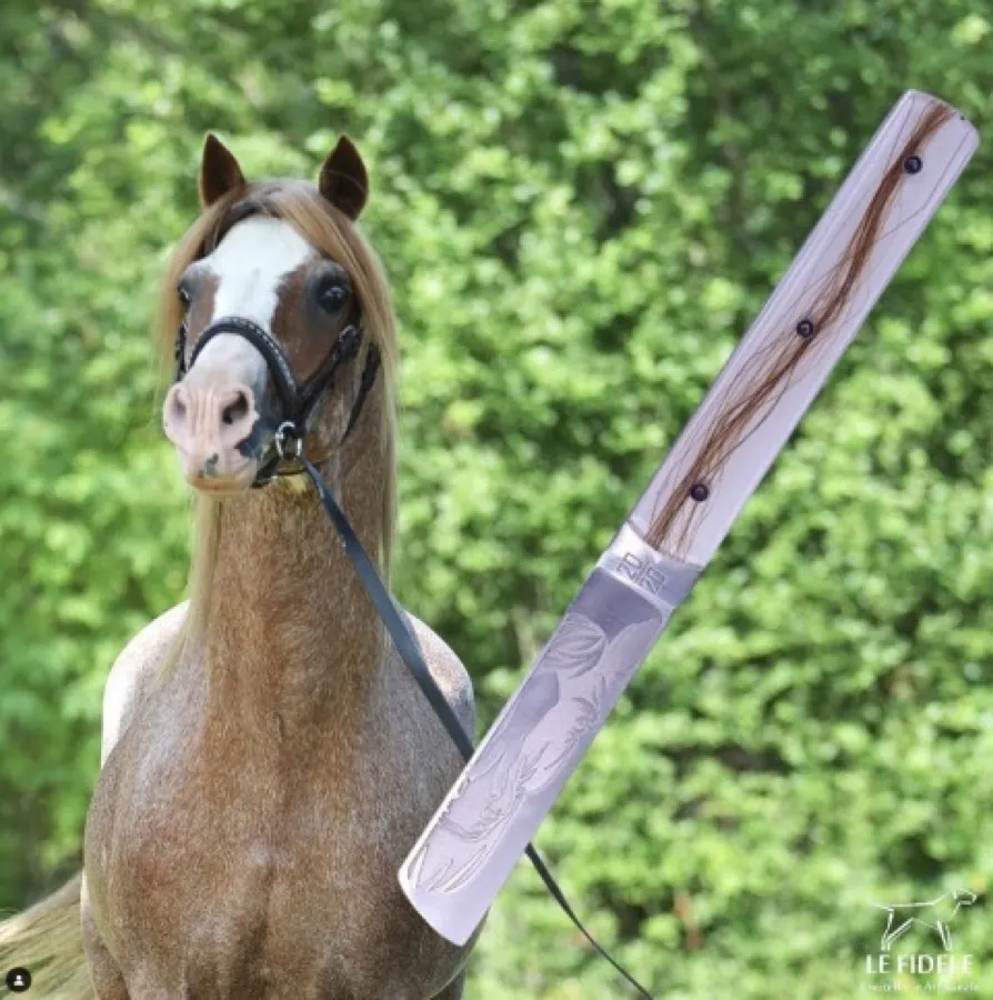 Laguiole Le Fidèle